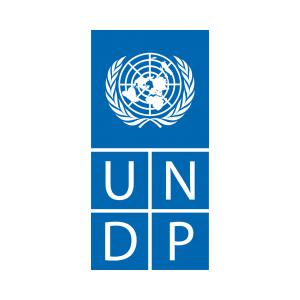 logo UNPD